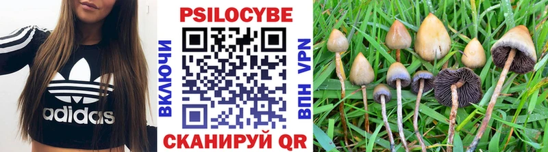 Галлюциногенные грибы мицелий  Котельниково 